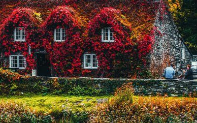 Lorem ipsum dolor